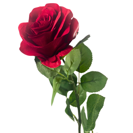 25" Red Rose Spray
