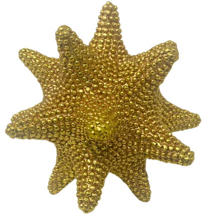 6" Beaded Sunflower Sea Star - Gold