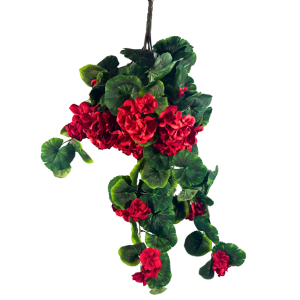 32" Hanging Geranium - Red