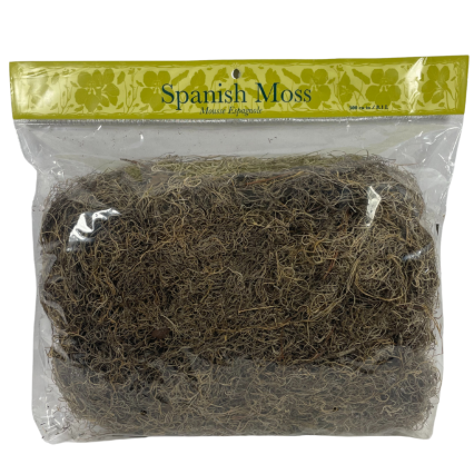Spanish Moss - Natural - 16oz