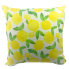 17" Lemon Burst Outdoor Pillow