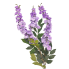 40" Wisteria Hanging Bush - Light Purple