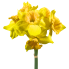 16" Daffodil Bundle - Yellow