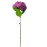 27" Hydrangea Stem - Magenta
