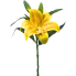14" Casablanca Lily - Yellow