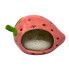 Pink Strawberry Scrubber Holder