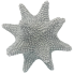6" Beaded Sunflower Sea Star - Silver