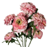 21" Ruffled Ranunculus Bush- Pink