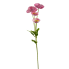 23.5" Flowering Mini Poppy Spray - Pink