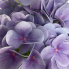 19" Real Touch Hydrangea Bush - Lavender
