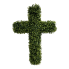 Small-Leaf Boxwood Cross