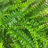 24" UV Fern/ Bead Grass Mixed Wreath