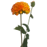 31" Dahlia Spray - Orange/ Yellow