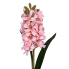 30" Hyacinth Stem- Light Pink