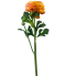 13" Ranunculus Spray - Orange