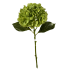 18" Hydrangea Stem- Apple Green