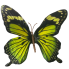 28" Grand Summer Butterfly Spray - Green