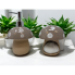 Ceramic Natural Mushroom Soap Dispenser