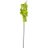 38" Real Touch Phalaenopsis Orchid - Green
