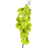 38" Real Touch Phalaenopsis Orchid - Green