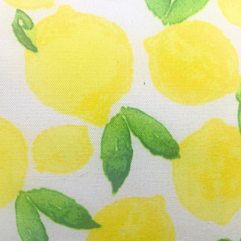 17" Lemon Burst Outdoor Pillow