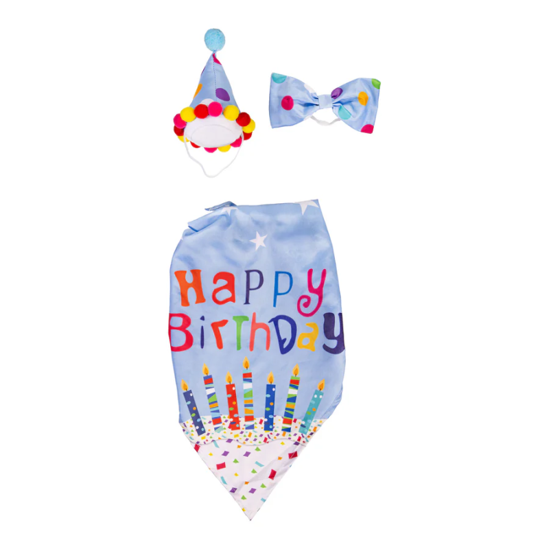 Porch Goose Outfit - Birthday Boy