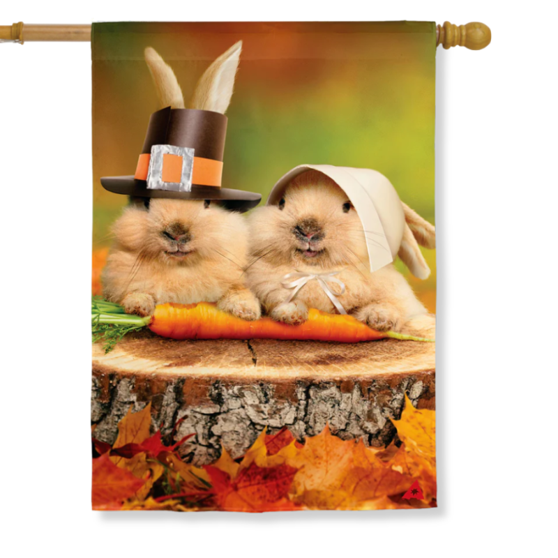 Bunny Pilgrims Suede House Flag