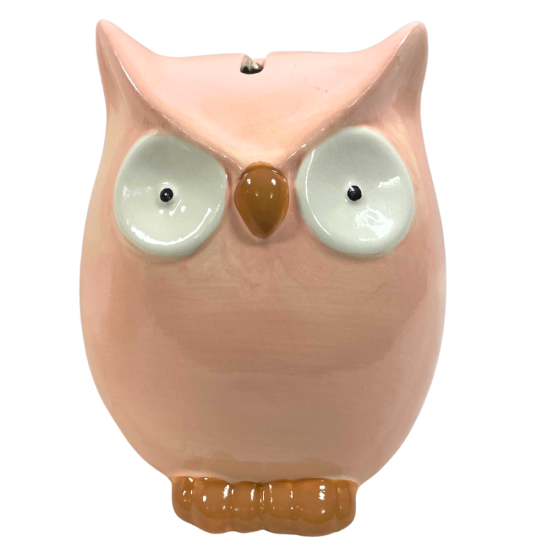 6" Porcelain Owl Bank - Pink