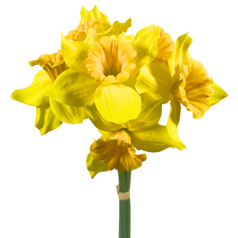16" Daffodil Bundle - Yellow