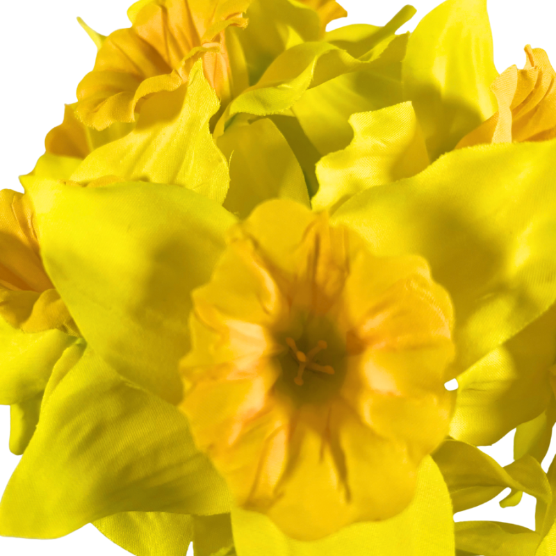 16" Daffodil Bundle - Yellow