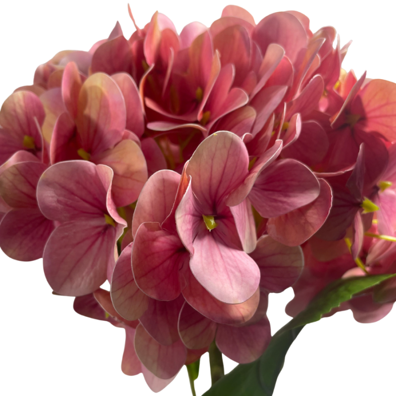 27" Hydrangea Stem - Pink