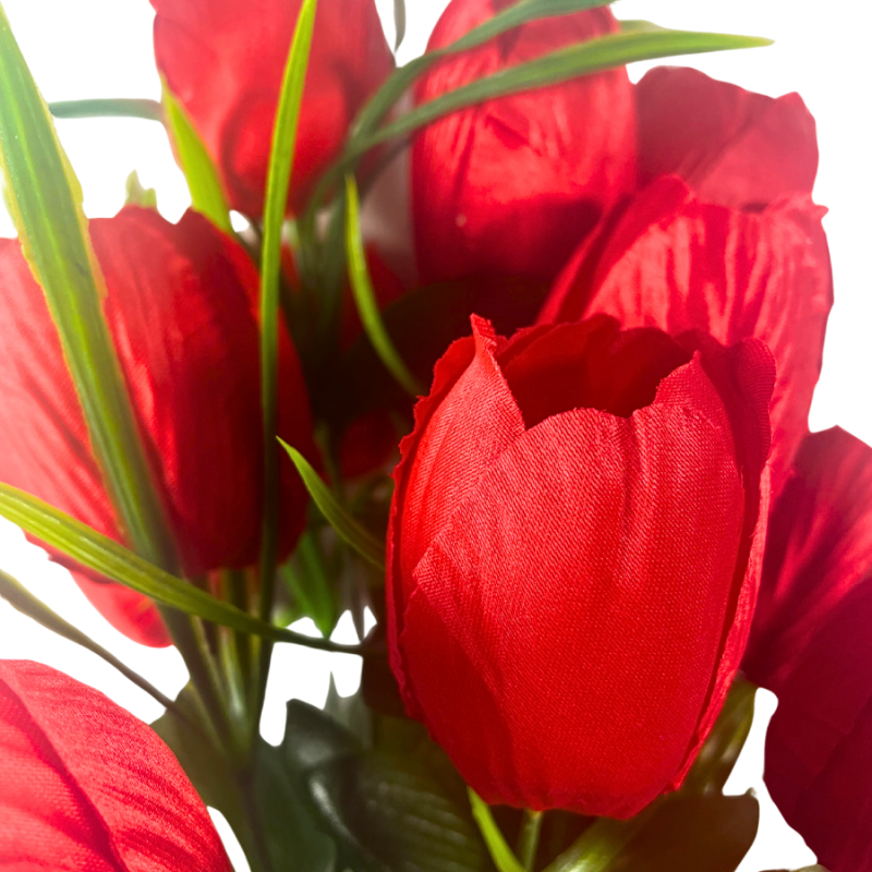 19" Tulip Bush - Red