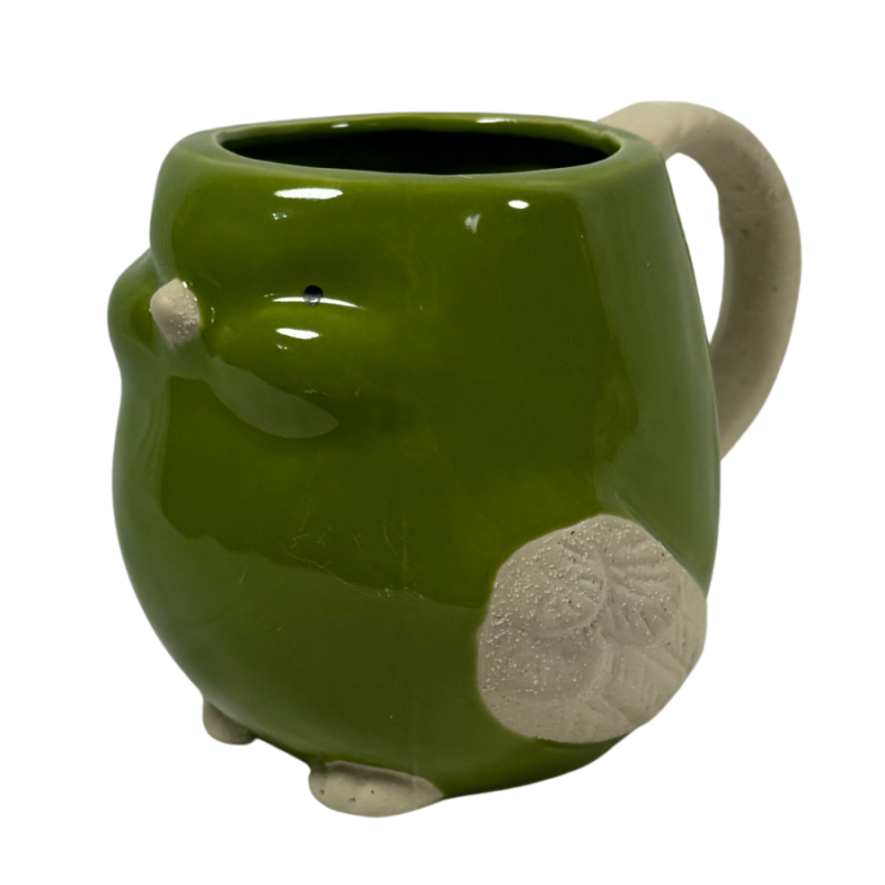 17oz Ceramic Bird Mug with Decorative Box