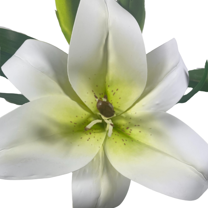 14" Casablanca Lily Stem - White