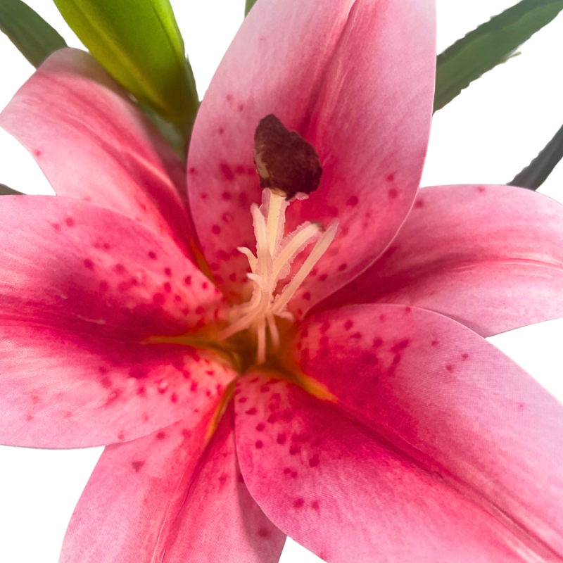 14" Casablanca Lily Stem - Pink