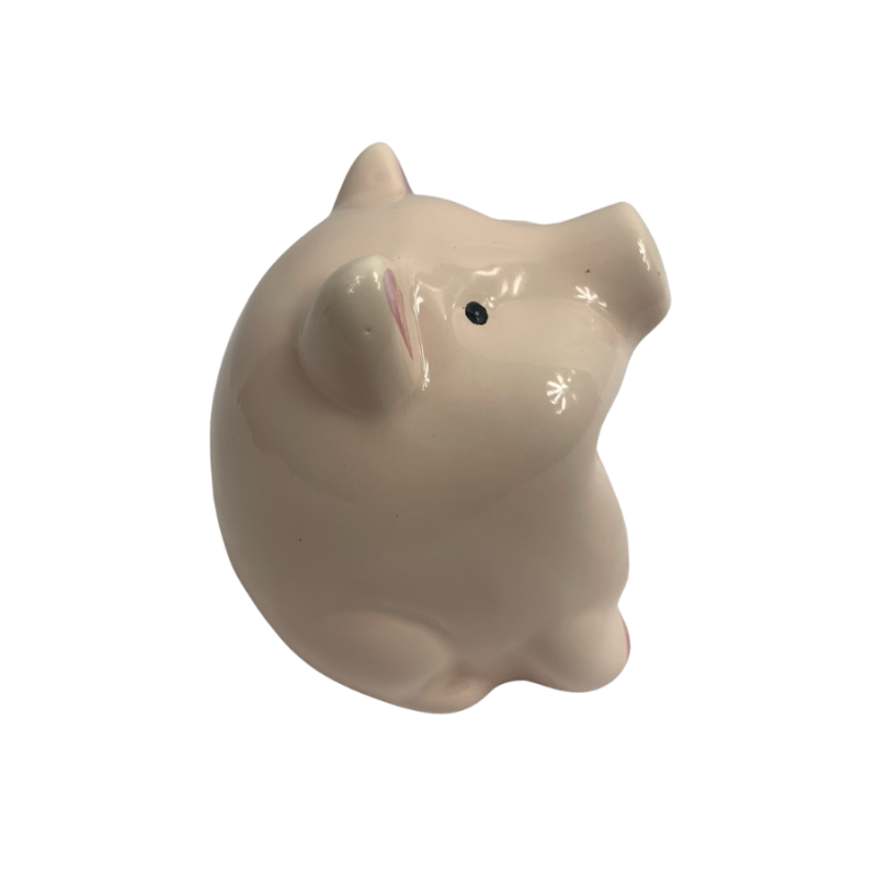 Piggy Scrubber Holder