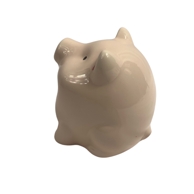 Piggy Scrubber Holder
