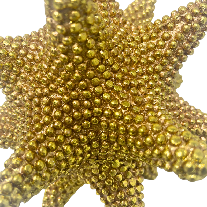 6" Beaded Sunflower Sea Star - Gold