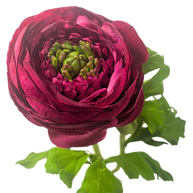 13" Ranunculus Spray - Fuchsia