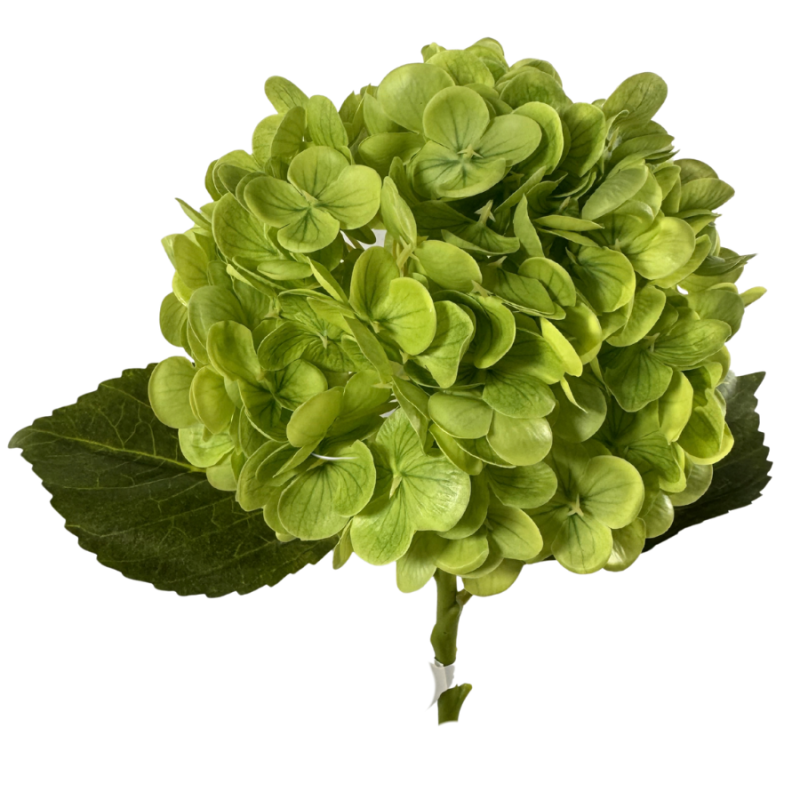 18" Hydrangea Stem- Apple Green