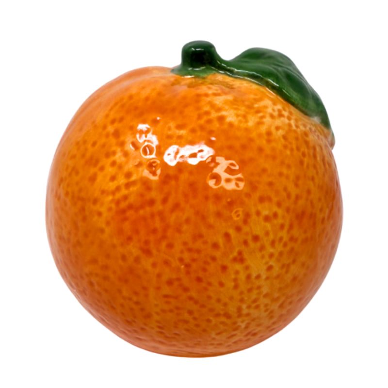 Orange Scrubber Holder