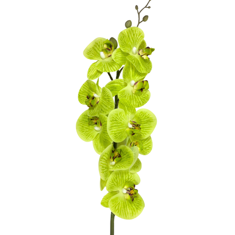 38" Real Touch Phalaenopsis Orchid - Green