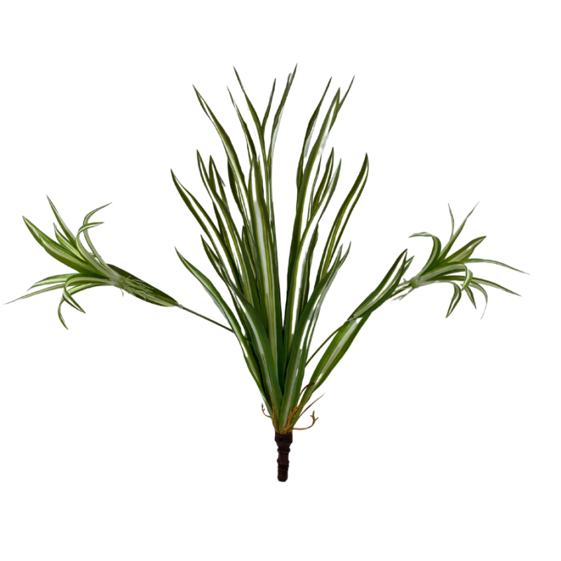 17" Spider Plant Bush