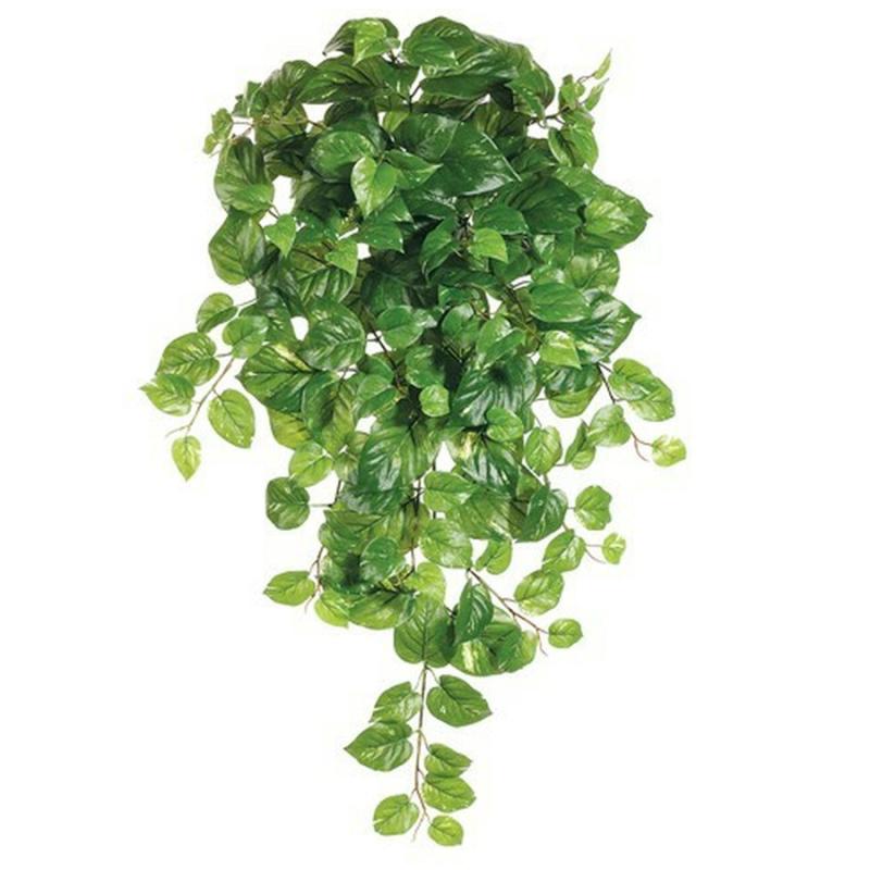 21" Pothos Hanging Bush