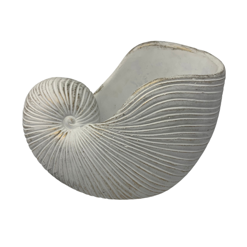 Large Sea Shell Figurine