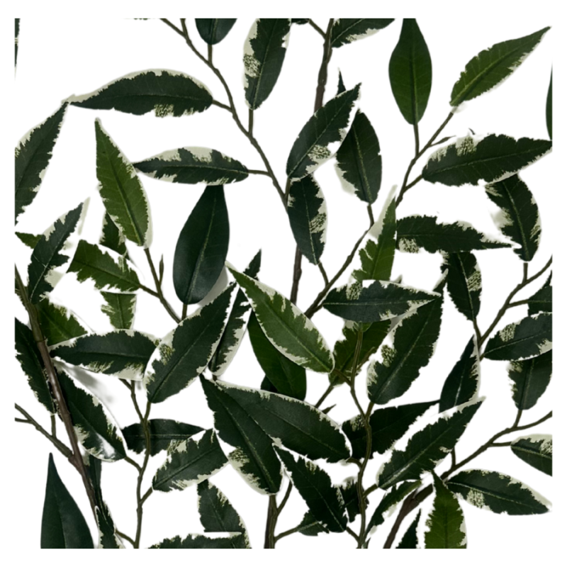 27" Smilax Spray- Variegated