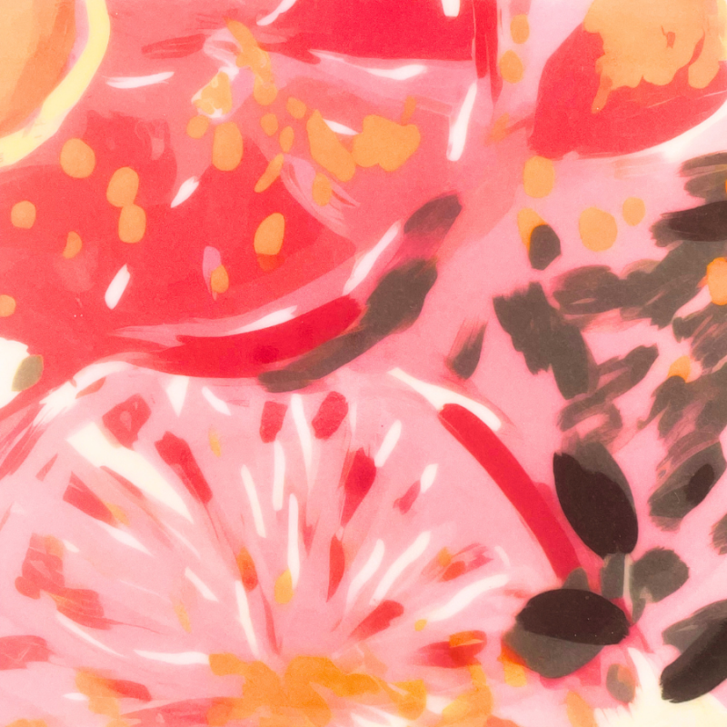 4 pc Indoor/Outdoor Dinner Plate Set - Fruits