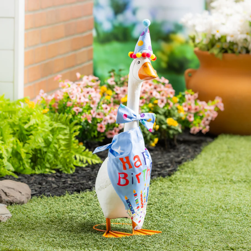 Porch Goose Outfit - Birthday Boy